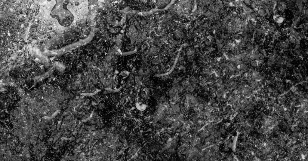 A black marble surface with visible veining and water droplets creating a reflective textured pattern across the stone.